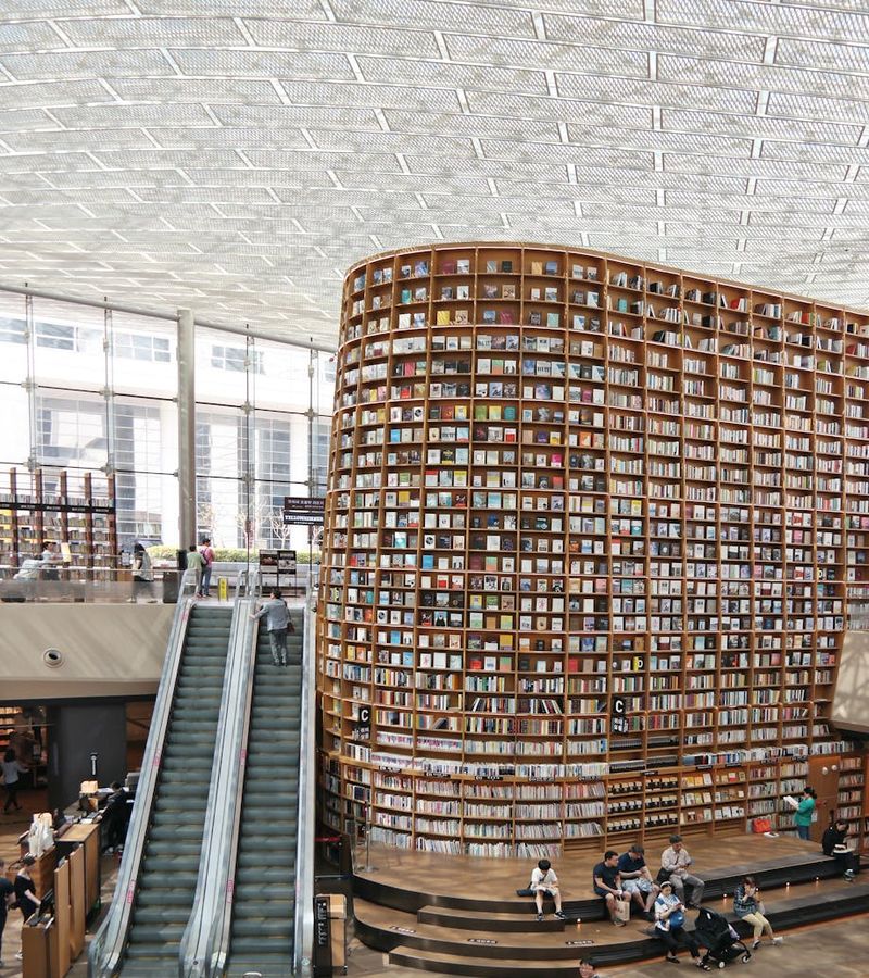 Modern organized knowledge management system with structured information display